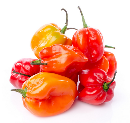 Habanero Peppers