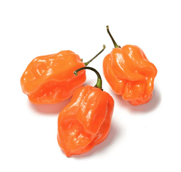 Habanero Pepper Seeds